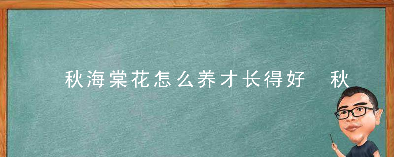 秋海棠花怎么养才长得好 秋海棠花如何养才长得好